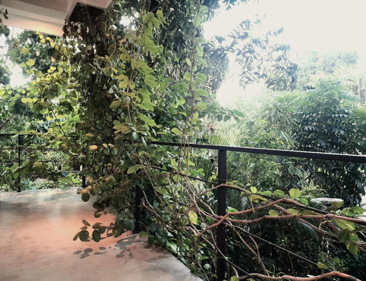 Weligama Bay Watsila Resort מראה חיצוני תמונה